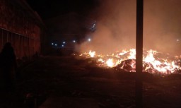 Pabrik Pengolahan Kayu di Probolinggo Terbakar