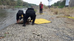 Mortir yang Ditemukan Pemancing di Sungai Brantas Berdaya Ledak Tinggi
