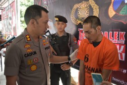 Edarkan Pil Koplo di Trenggalek, Polisi: Pembeli Mencicil ke Pelaku