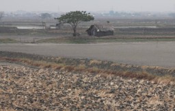Foto: Efek Kemarau, Sawah dan Tambak di Gresik Mengering
