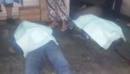 Tertimpa Pohon di Jalan Johar Surabaya, Dua Orang Meninggal