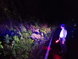 Hujan Deras di Trenggalek, Tebing Longsor hingga Tanggul Jalan Ambrol