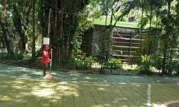 Imbas Virus Corona, Kebun Binatang Surabaya Ditutup Sementara