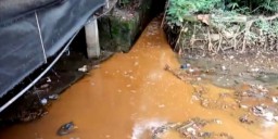Sungai Wringinanom Gresik Tercemar Limbah Industri