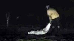 Ketika Hantu Sekarang Tidak Punya Harga Diri