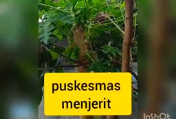 Beredar Video Jeritan Petugas Puskesmas Surabaya untuk Wali Kota Risma