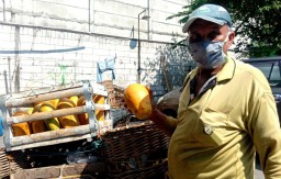 Inspiratif! Kisah Pedagang Buah di Gresik yang Pantang Menyerah