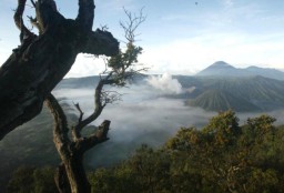 Gunung Bromo Mulai Dibuka, Terapkan Pembatasan Kuota Wisatawan