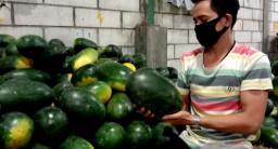 Manjakan Pelanggan, PIOS Datangkan Semangka Inul dari Kalimantan