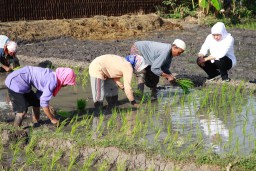 Khofifah Ajak Generasi Milenial di Jatim Geluti Sektor Pertanian