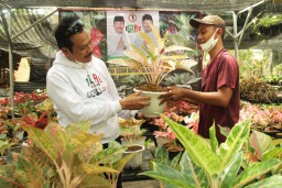 Qosim-Alif Bakal Jadikan Gresik Sentra Adenium dan Aglaonema Nasional