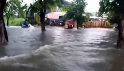 Lagi, Hujan Deras Akibatkan Banjir dan Pohon Tumbang di Surabaya