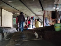 Mengintip Denyut Kehidupan Warga Kolong Tol di Surabaya