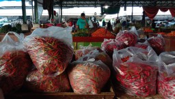 Pedagang Sayur Segar PIOS Penuhi Kebutuhan Pelanggan di Tengah PPKM