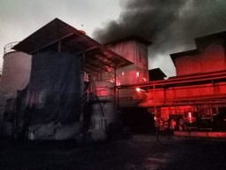 Pilihan Pembaca: Pabrik Minyak Goreng Terbakar hingga Pelaku Mafia Tanah Diburu