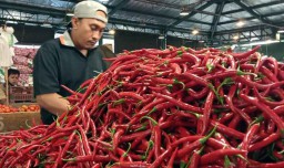 Jelang Idul Adha, Harga Cabai Merah di PIOS Tetap Stabil