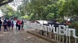 Wisata Banyu Biru Pasuruan, Pengunjung Berenang Bareng Ikan Sengkaring