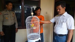 Pencuri Love Bird Diciduk Polisi di Pasar Burung