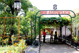 Pemkot Surabaya Terus Optimalkan Mini Agrowisata
