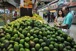 Segudang Manfaat Buah Alpukat untuk Diet