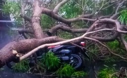6 Peristiwa Akibat Hujan Deras Disertai Angin di Surabaya Hari ini