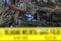 Peredaran Ganja 250 Kilogram Dibongkar, Lima Kurir Diringkus