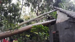 37 Rumah di Sumatera Utara “Diamuk” Angin Puting Beliung