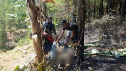 Bersihkan Lahan Hutan dengan Dibakar, Nenek Yatinem Tewas Terbakar