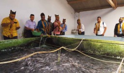 24 Negara Asia-Afrika Belajar Budidaya Ikan di Banyuwangi