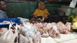 Pedagang di Banyuwangi Was-was soal Harga Ayam dan Telur