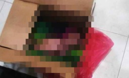 Hendak Kumandangkan Azan, Pria ini Temukan Mayat Bayi di Teras Musala