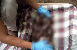 Mayat Bayi Ditemukan di Bawah Pohon Bambu