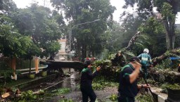 Kabupaten Malang Masuk Wilayah Rawan Bencana Alam