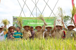 Banyuwangi Surplus Beras hingga 360 Ribu Ton