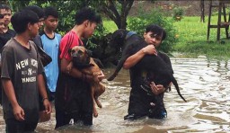 Banjir di Blitar Surut, Warga Keluhkan Gatal-gatal