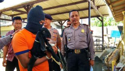 Pemulung yang Mencuri Anak Kambing di Blitar, Ternyata Residivis 