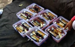 Wow! Total 149 Bom Diamankan Sepekan Pascaaksi Teror di Surabaya