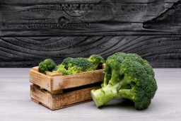 Ini 9 Makanan untuk Meningkatkan Kekebalan Tubuh