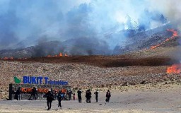 Pemulihan Lahan Terbakar di Kawasan Bromo Membutuhkan Waktu Sebulan