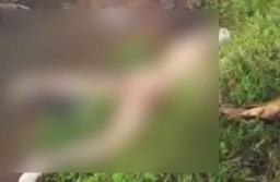 Terungkap, Begini Penjelasan Polisi soal Video Wanita Telanjang