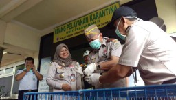 Penyelundupan 481 Ekor Burung Dilindungi ke Surabaya Digagalkan 