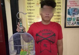 Tak Hafal Harga, Pencuri ini Sikat Burung Murahan