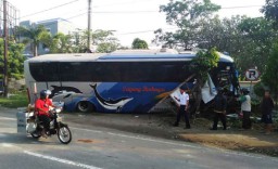 Oleng, Bus Sugeng Rahayu Tabrak Pohon di Madiun