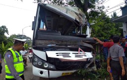 Bus Tabrak Pohon Asam di Banyuwangi, Enam Penumpang Luka