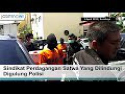 Video: Sindikat Perdagangan Satwa Yang Dilindungi Digulung Polisi 