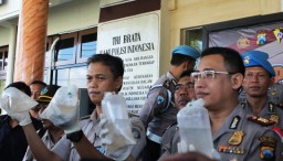 Hendak Dikirim ke Luar Negeri, Bibit Lobster ini Disimpan di Jok Mobil