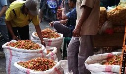 Ini Penyebab Anjloknya Harga Cabai di Probolinggo