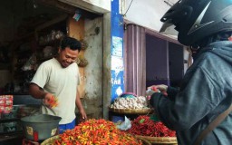 Harga Cabe Rawit di Blitar Tembus Rp 50 Ribu/Kilogram