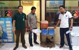 Sindikat Bisnis Buaya dan Burung Dibongkar Polisi