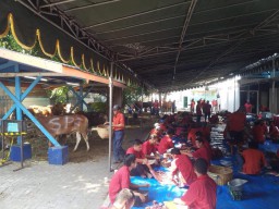 Pelindo III Salurkan Ratusan Hewan Kurban ke Tujuh Provinsi